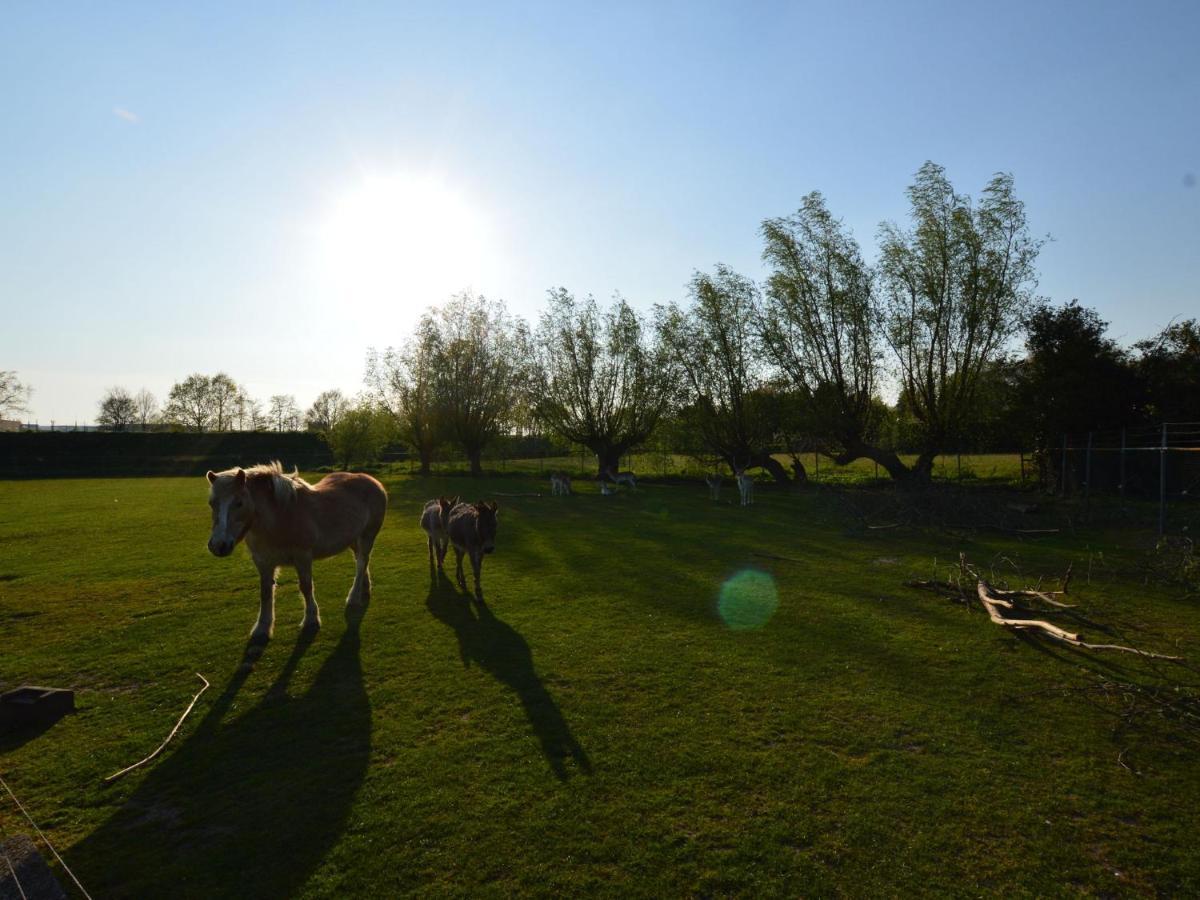 Farmhouse Near Bergen Op Zoom Villa Dış mekan fotoğraf